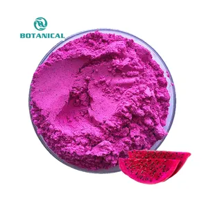 B.C I-Polvo de fruta de Pitaya Natural sin contaminación, extracto de fruta de dragón Rosa puro, pitaya roja