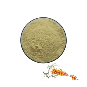 ISO22000 Manufacturer Supply Seabuckthorn Berry Extract Powder Flavone 30%