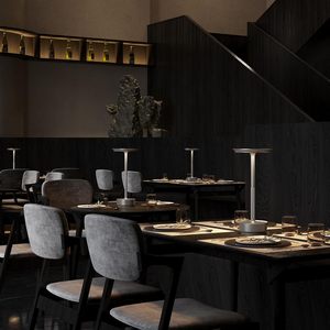Spot <b>Touch</b> Sensors <b>Light</b>-emitting Diodes, Metal Craftsmanship, Decorative Aluminum Desk Lamps Coffee and Restaurant Lighting - Product Image 5