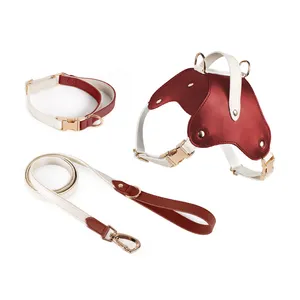 Custom Logo Branded Small Medium Large Pet Collar Manufacturers Personalized Design Waterproof ECO Leather Dog Harness Leash Set