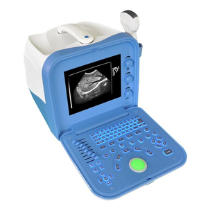 Machine à ultrasons vétérinaire Portable à bas prix 12 pouces B + M Mode Animal vache bétail vétérinaires Scanner à ultrasons de Diagnostic - Product Image 5