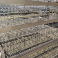 Type 3/4 Tier 96/120/128/160 Capacité des oiseaux Système de batterie à mailles métalliques pour l'élevage de volailles Cage à poules pondeuses