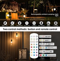 Lampe murale LED E26 à chargement USB, télécommande tactile, minuterie, lampe de chevet, source de lumière d'urgence, plastique, 4000mAh, RGB