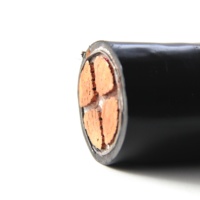 RUITIAN 4-Adriges Armiertes Niederspannungs-Stromkabel für Untergrundinstallationen 25mm 35mm 50mm 70mm Kupfer XLPE PVC