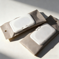 Pochette personnalisée vide pour lingettes humides, sac oreiller pour lingettes bébé, mouchoirs faciaux, serviettes, emballage plat thermoscellé en Mylar