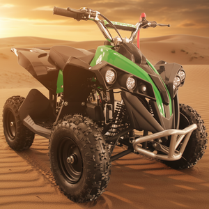 Hot Seller Electric Quad 1000w Children