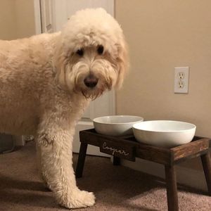 JUNJI özelleştirilmiş büyük cins köpek maması standı Modern ahşap evde beslenen hayvan besleme istasyonu ile kase ev ahşap yükseltilmiş besleyici - Product Image 4