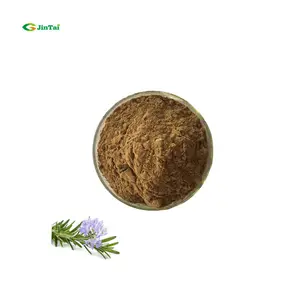 High Quality Rosemary Extract Ursolic Acid In Bulk Rosemary Extract Powder