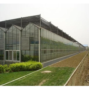 Tùy Chỉnh Multispan Lớn Thông Minh Nông Nghiệp Nhà Kính Với Thủy Canh Hệ Thống Cho Hiện Đại Hữu Cơ Nông Nghiệp - Product Image 3