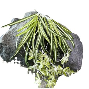 Plante artificielle araignée Dream Castle 55 cm en plastique pour décoration murale extérieure et intérieure - Product Image 5