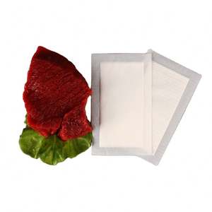 Paquete de Hielo Biológico Express Especial Sin Inyección de Agua, Paquete de Hielo Desechable para Conservación de Frescura, Reutilizable para Refrigeración - Product Image 1