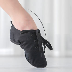 <span class=keywords><strong>Chaussures</strong></span> <span class=keywords><strong>de</strong></span> <span class=keywords><strong>danse</strong></span> jazz à <span class=keywords><strong>talon</strong></span> bas en toile unisexe pour femmes et hommes, taille complète, noir, rouge, blanc, rose, pas cher - Product Image 2