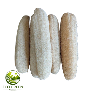 Jarrones de Cerámica con Esponja Natural de Lufa de Vietnam, Ecológicos, Forma Natural, Crudos, para Decoración del Hogar, Tamaño Personalizable - Product Image 2
