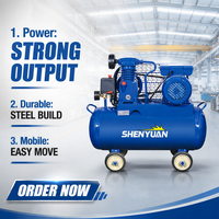 Compresseur d'air miniature SHENYUAN de qualité industrielle, haute pression, 0,75 kW, 30 litres, portable, entraîné par courroie, lubrifié, refroidi par air, 110 V/220 V