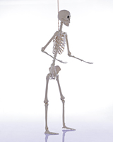 Esqueleto de Halloween de 165 cm (5 pies) Personalizable, Huesos Humanos de Plástico con Articulaciones Móviles para Casas Encantadas, Fiestas y Decoración de Jardines