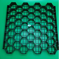 Pavé de grille d'herbe en plastique perméable HDPE de 48mm pour jardins pentes parkings de voiture allées d'herbe barrage-produits de terrassement