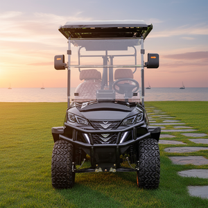 Supply Customized Color Golf Cart with <b>Box</b> for Commercial Use - Product Image 3