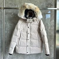 Parka d'hiver décontractée et moelleuse pour homme, style vintage et classique, avec capuche en fourrure de loup, collection luxe Canada 2026