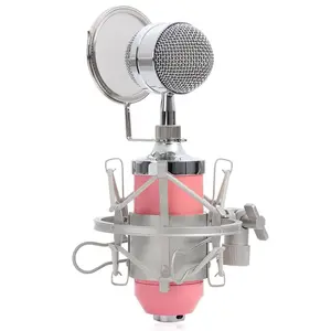 Heißer Verkauf BM8000 Kondensator mikrofon Studio Record Dynamic Mic BM 8000 Filter für Rundfunk Studio ktv Mikrofon verkabelt