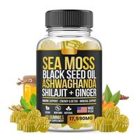Gummies Énergétiques OEM Himalaya Shilajit, Supplément d'Algues Marines pour Adultes, Végétalien, Halal, Sans Gluten, Soutien Immunitaire, Santé Digestive