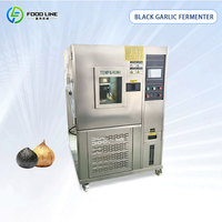Machine de Fermentation d'Ail Noir à Température et Humidité Constantes, Directement de l'Usine, 20 Ans d'Expérience