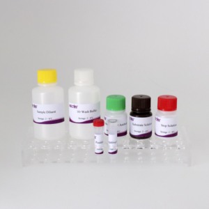 Bò mycobacterium Elisa kháng thể <span class=keywords><strong>Kit</strong></span> kiểm tra | 96t gia súc TB <span class=keywords><strong>Kit</strong></span> chẩn đoán | CE chứng nhận thú y Elisa <span class=keywords><strong>Kit</strong></span> - Product Image 4