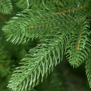 <span class=keywords><strong>Sapin</strong></span> de Noël réaliste de 2,10 m pré-éclairé, aiguilles en PE effet naturel, lumières LED intégrées pour une installation facile - Product Image 6