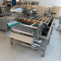 Blaasreinigingsmachine voor blauwe bessen en aardbeien, groente- en fruitdroog- en reinigingsmachine