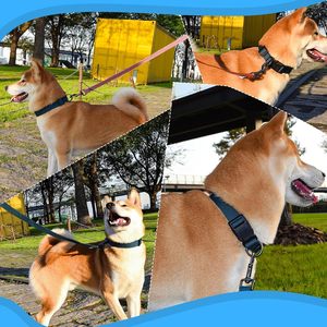 NiBao ajustable transpirable fibra de bambú <span class=keywords><strong>Multi</strong></span> colores personalizado <span class=keywords><strong>collar</strong></span> de perro y conjunto de correa - Product Image 5