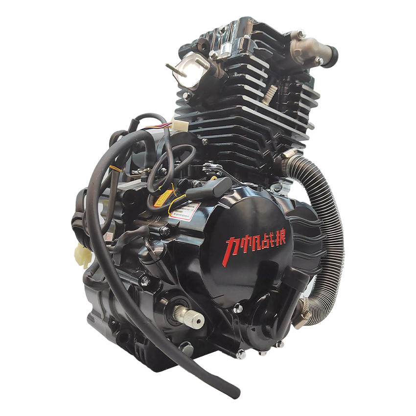 マナチン Cheap Tricycle 4-Stroke Motor - 5 Gears Manual Lifan 300cc