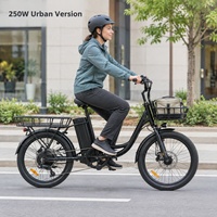 Vélo cargo électrique urbain européen avec moteur 250W et batterie amovible 36V pour les distributeurs