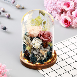 Rosa Eterna Sotto Campana di Vetro con Luce, Set <span class=keywords><strong>Regalo</strong></span> <span class=keywords><strong>Romantico</strong></span> Pronto da Regalare <span class=keywords><strong>per</strong></span> <span class=keywords><strong>Lei</strong></span>, San Valentino, Laurea, Compleanno, Anniversario - Product Image 4