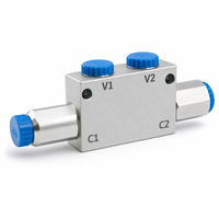 Vanne de contrôle double à verrouillage hydraulique zinguée G3/8" 250 bars pour camion de pompiers hydraulique