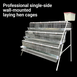 Cages à poules pondeuses de type A au <span class=keywords><strong>meilleur</strong></span> prix avec système d'alimentation et de nettoyage automatique du fumier <span class=keywords><strong>pour</strong></span> poulailler - Product Image 6