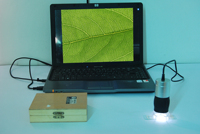 Mikroskop Digital USB Genggam dengan Pencitraan CMOS 1.3MP, Perekaman Video, 8 LED Penerangan, Berperingkat IP53, Garansi 3 Tahun untuk Keperluan Pendidikan