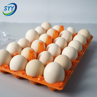 Barquette en PET coloré de qualité alimentaire, type carton à œufs, avec base et couvercle détachables, antichoc, empilable, impression personnalisée OEM, RPET direct
