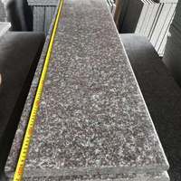 Bloc d'escalier et riser en granit de granit, nouvelle collection G664, pas cher