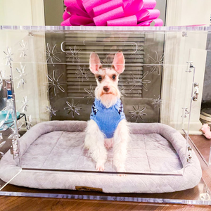 Kişiselleştirilebilir Şeffaf Akrilik Köpek Kafesi, Küçük ve Orta Boy Köpekler için Kapılı Havalandırmalı Şık Evcil Hayvan Kulübesi - Product Image 4