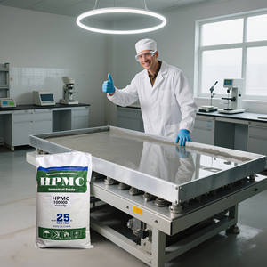 Materiais Químicos para Construção Matéria-Prima Espessante Éter de Celulose Pó HPMC para Revestimento Leve - Product Image 5