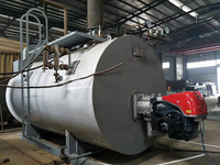 Chaudière à vapeur industrielle horizontale à tubes de fumée, à haute pression, compatible GPL et fioul, 2 tonnes, à prix avantageux, pour ligne de production EPS