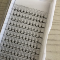 Extensions de cils pré-faits noir jais effet yeux de poupée 2D 3D 4D 5D 6D 7D 8D 9D 10D, courtes et naturelles, 0.05 0.07 0.10MM, pré-faits thermocollés