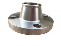 ASME B16.5 SCH80 Bride en acier forgé WN THREAD BW SW Bride en acier inoxydable