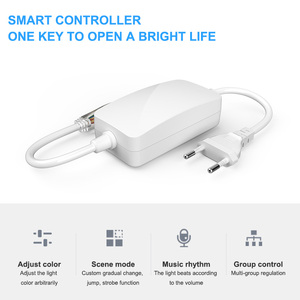 Bán buôn Led Neon Flex 230V ngoài trời AC LED Băng dải ánh sáng RGB màu Sync âm nhạc LED dây Ánh Sáng giáng sinh trang trí sân vườn - Product Image 4