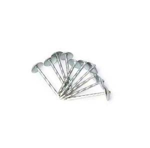 Pregos de Telhado Galvanizados em Estilo Cap com Haste Lisa para Folha de Telhado de Aço Opção Barata - Product Image 2