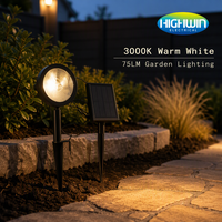 Lampe solaire de jardin noire 2 LED 75LM 3000K 2x 3.2V 18500 1000mAh Batterie LiFePO4 Panneau 125x85mm Lampe extérieure