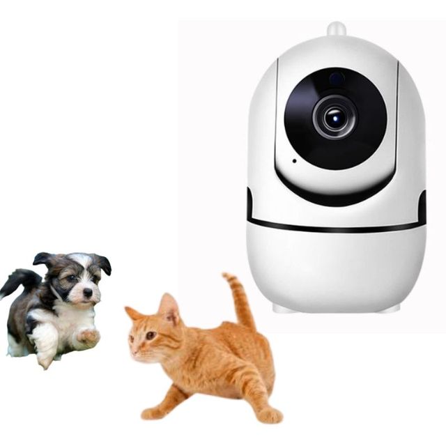 EJL Eco-Friendly Plastic Pet Camera for Dogs Furry Friend Training Tool for Behavior Monitoring