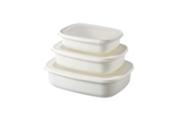 Ensemble de 3 boîtes de rangement pour aliments à bento portable pour micro-ondes et congélateur avec couvercle