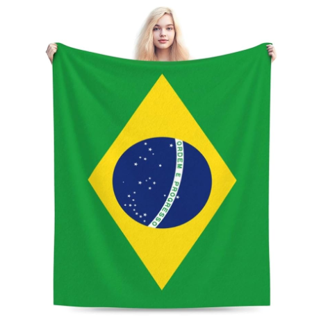 Brésil6