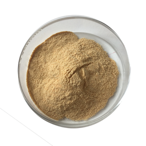 Poudre d'extrait de <span class=keywords><strong>lupin</strong></span> de haute qualité avec 98% de lupeol - Product Image 1