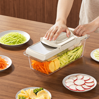 Mandoline-snijder 5 in 1 met handbeschermer, groentesnijder van roestvrij staal, verstelbare dikte voor aardappel, ui, fruit, 2 messen